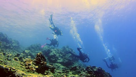 Частный опыт подводного плавания с аквалангом в Афинах